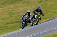 PJ-Motorsport-2019;anglesey-no-limits-trackday;anglesey-photographs;anglesey-trackday-photographs;enduro-digital-images;event-digital-images;eventdigitalimages;no-limits-trackdays;peter-wileman-photography;racing-digital-images;trac-mon;trackday-digital-images;trackday-photos;ty-croes